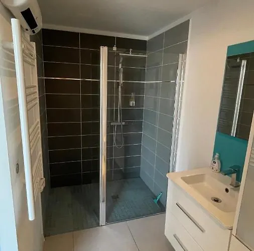 Apartment Grand Dans Avec Garage *